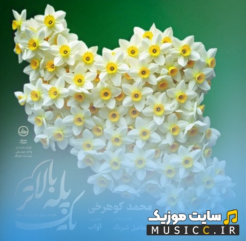 اهنگ جدید یک پله بالاتر با صدای محمد کوهرخی 《Mohammad Koohrokhi》 | با دو کیفیت عالی